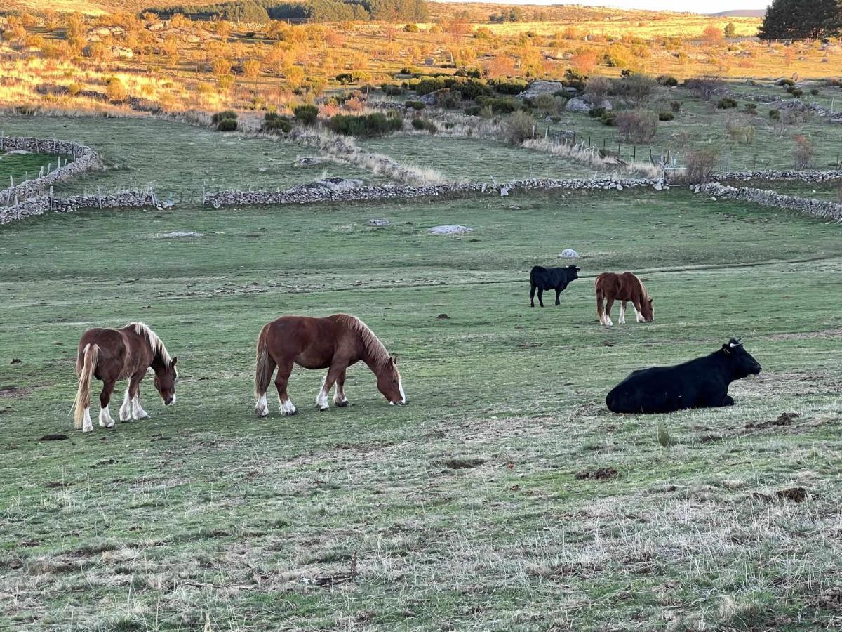 纳瓦雷东达德格雷多斯La Nava De Gredos Acogedor Piso Con Vistas公寓 外观 照片